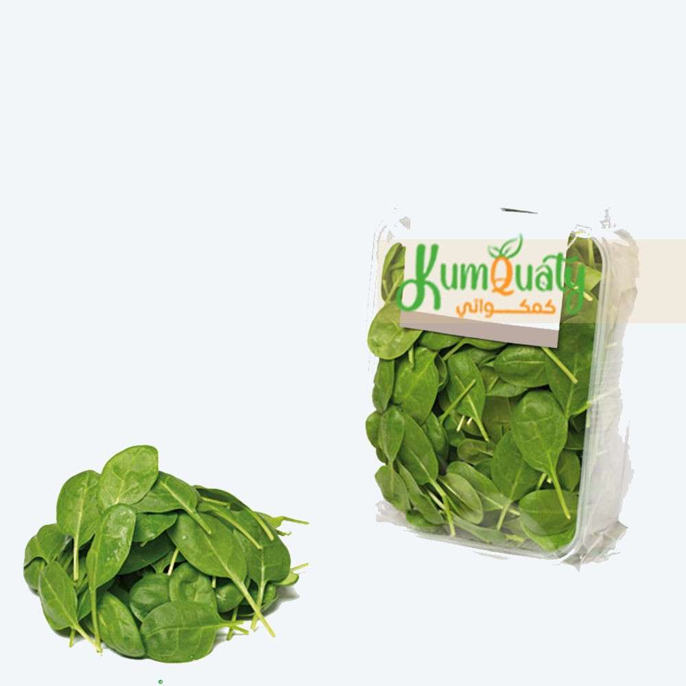 سبانخ علبة مستورد