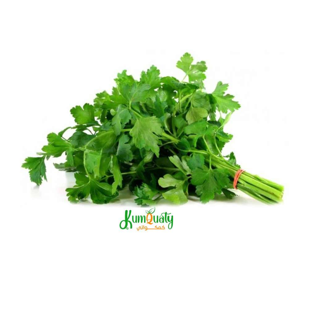 بقدونس ربطة