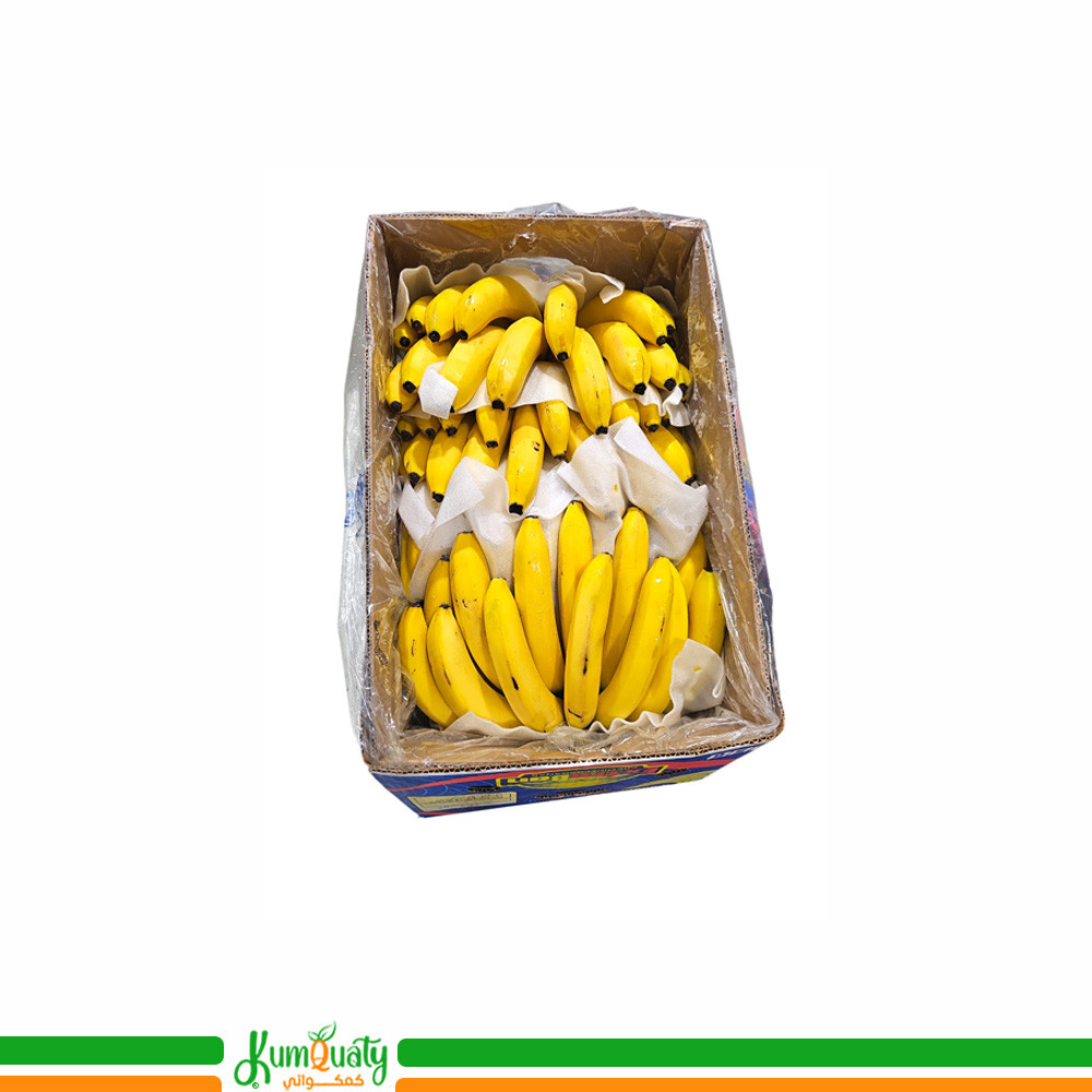 موز اكوادور كرتون كبير