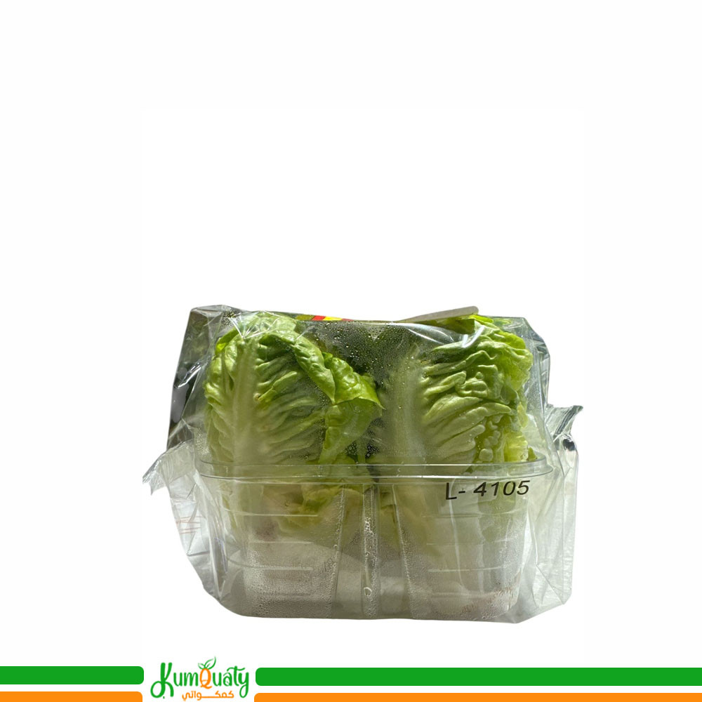 خس بيبي اسباني