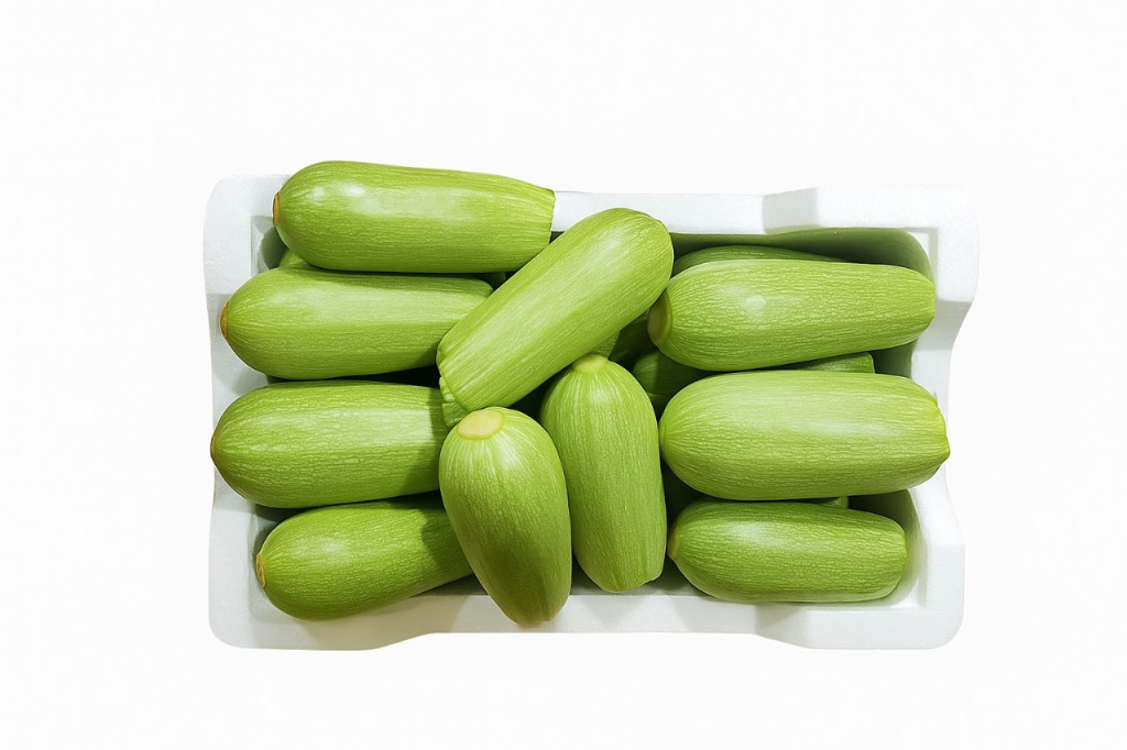 كوسة للمحشي وسط