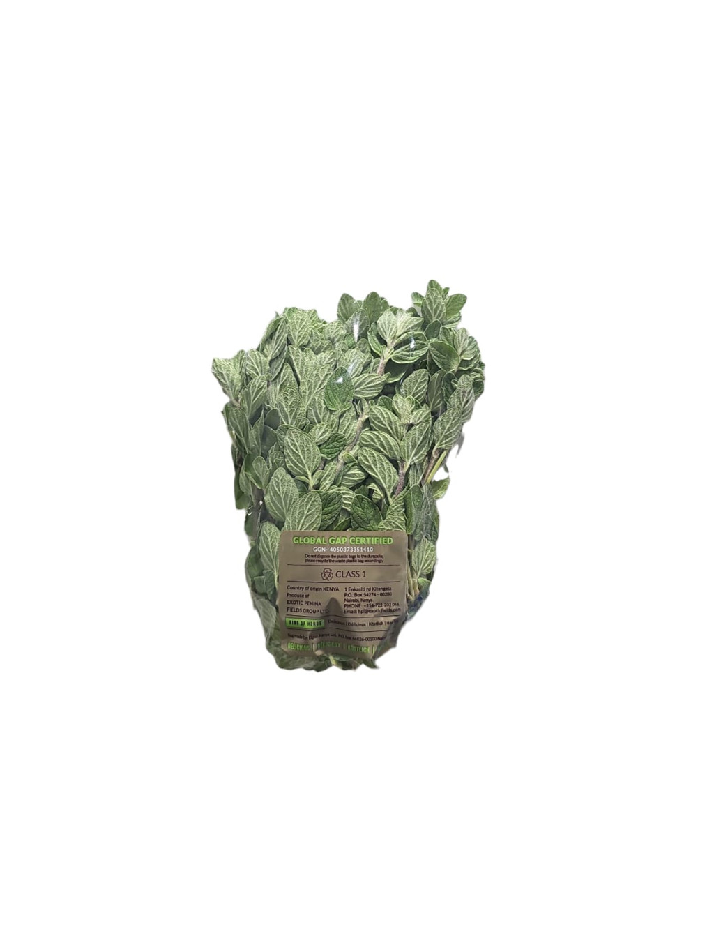 أوريجانو طازج  – 100 جم