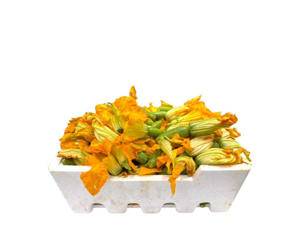 كوسة فلين كبير 3 كيلو تقريبا