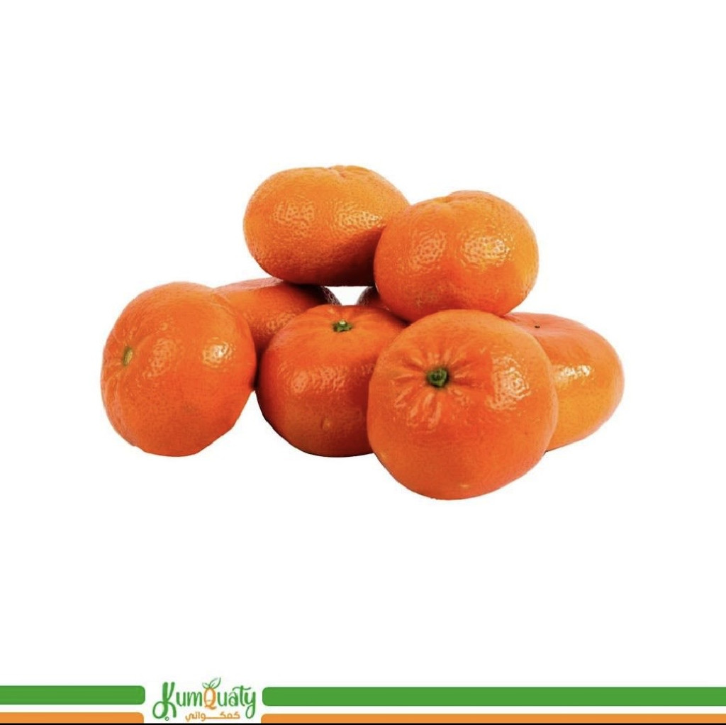 يوسفي فندي (كرتون)