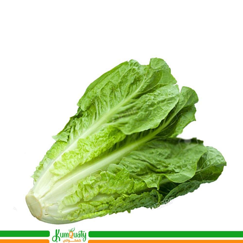 خس بلدي  (حبة)