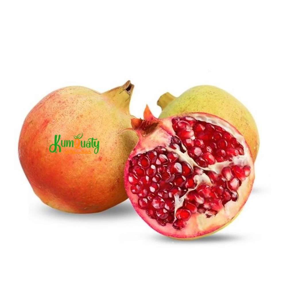رمان فلين