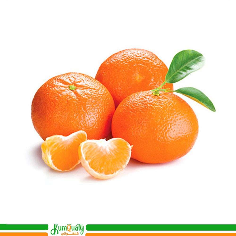 يوسفي فندي  مصري