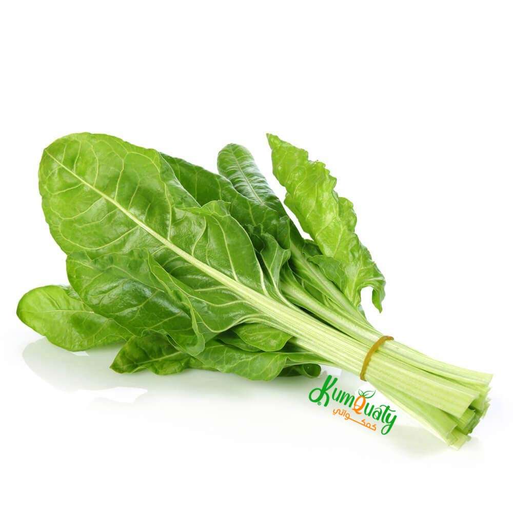 أوراق السلق ربطة