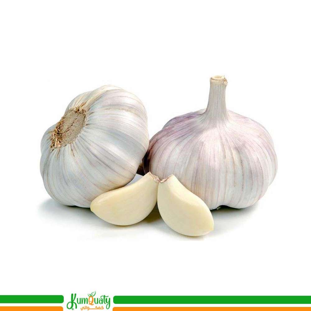 ثوم طازج فلين صغير