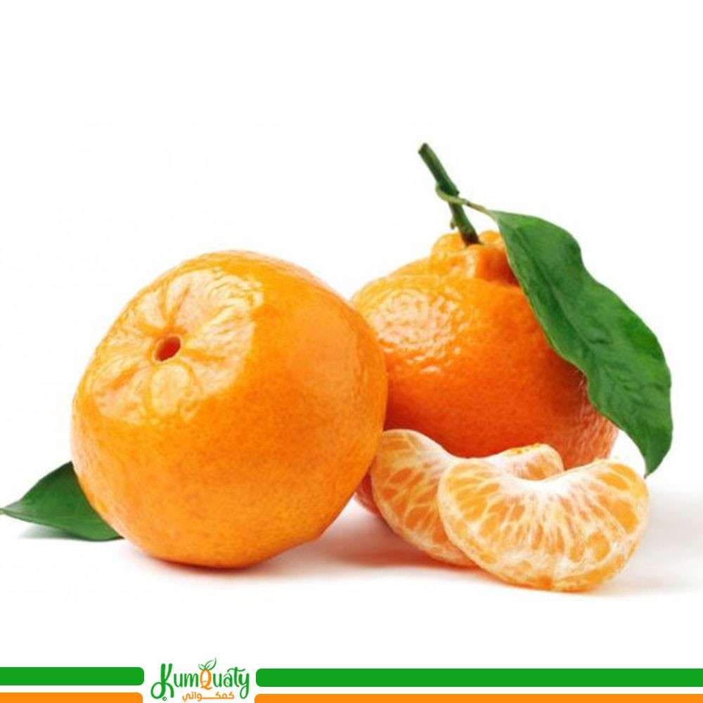 يوسفي باكستاني علبة 1 كيلو