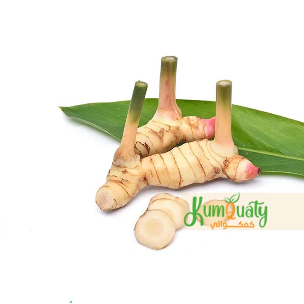 فطر خولنجان علبة