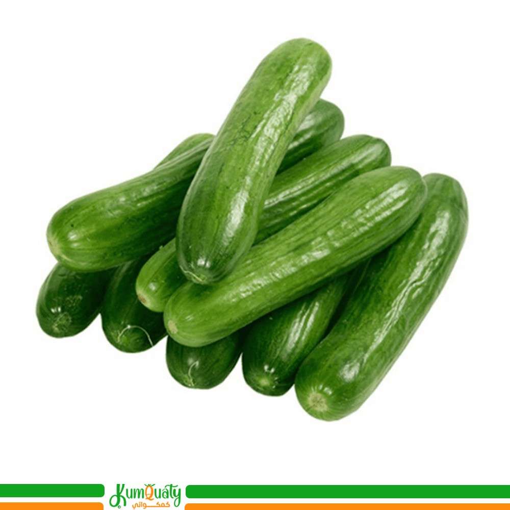 خيار فلين وسط - 1.70 كجم تقريبا