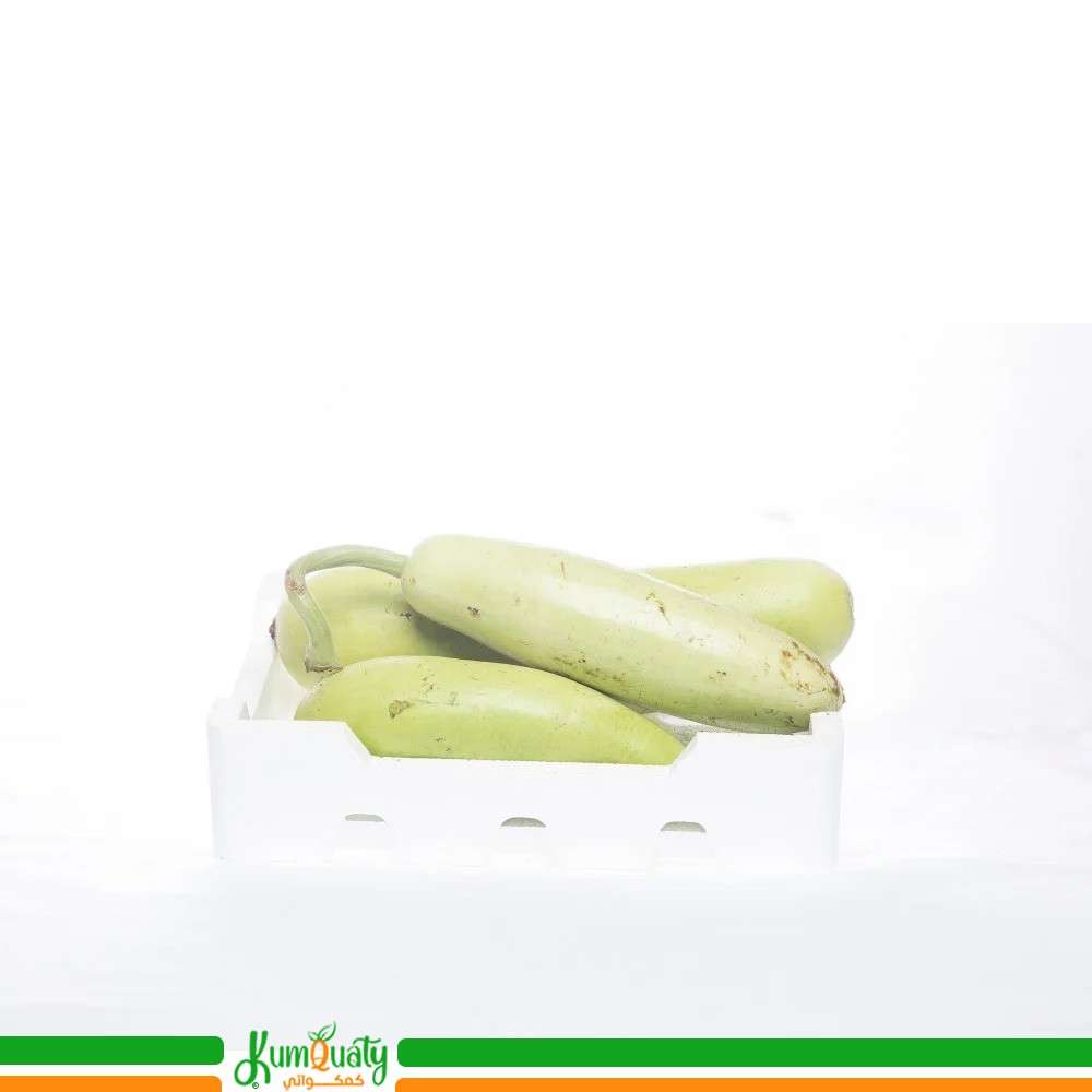 قرع نجد فلين وسط