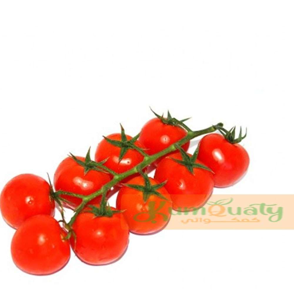 طماطم عنقودية علبة