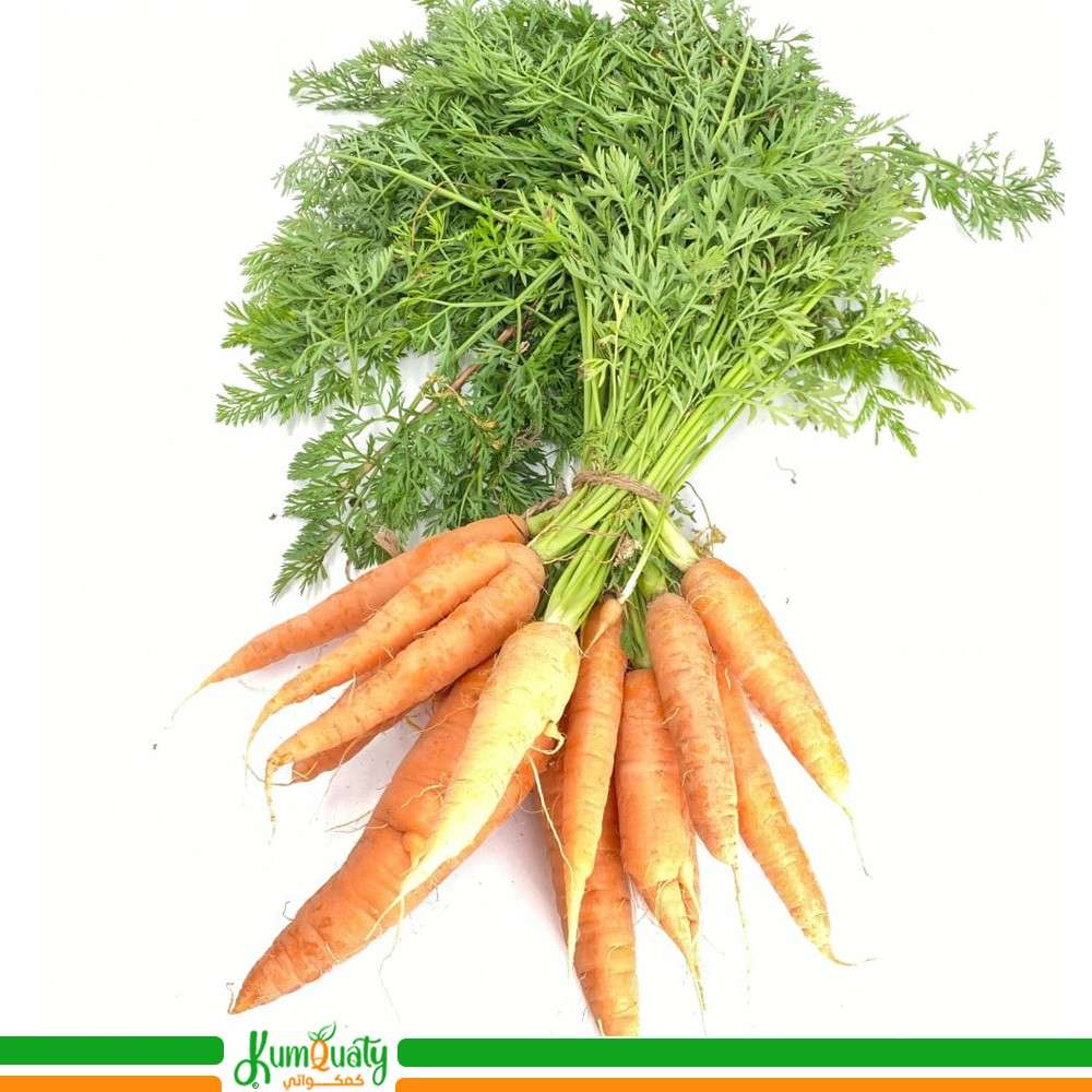 جزر محلي  (حزمة)