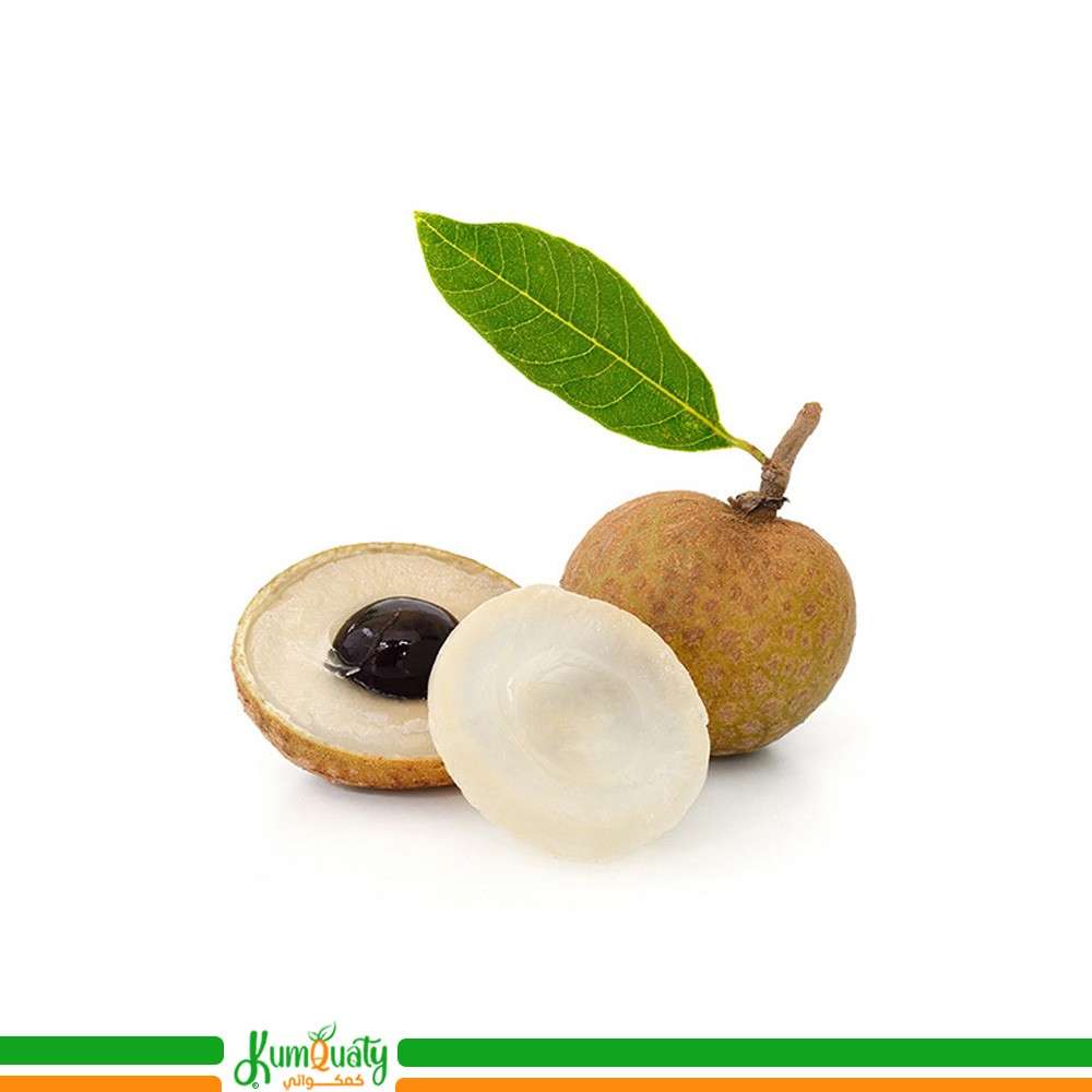 لونجان
