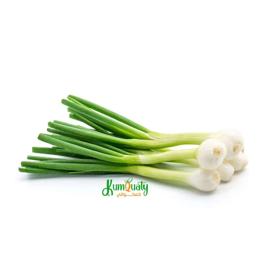 بصل اخضر ربطة