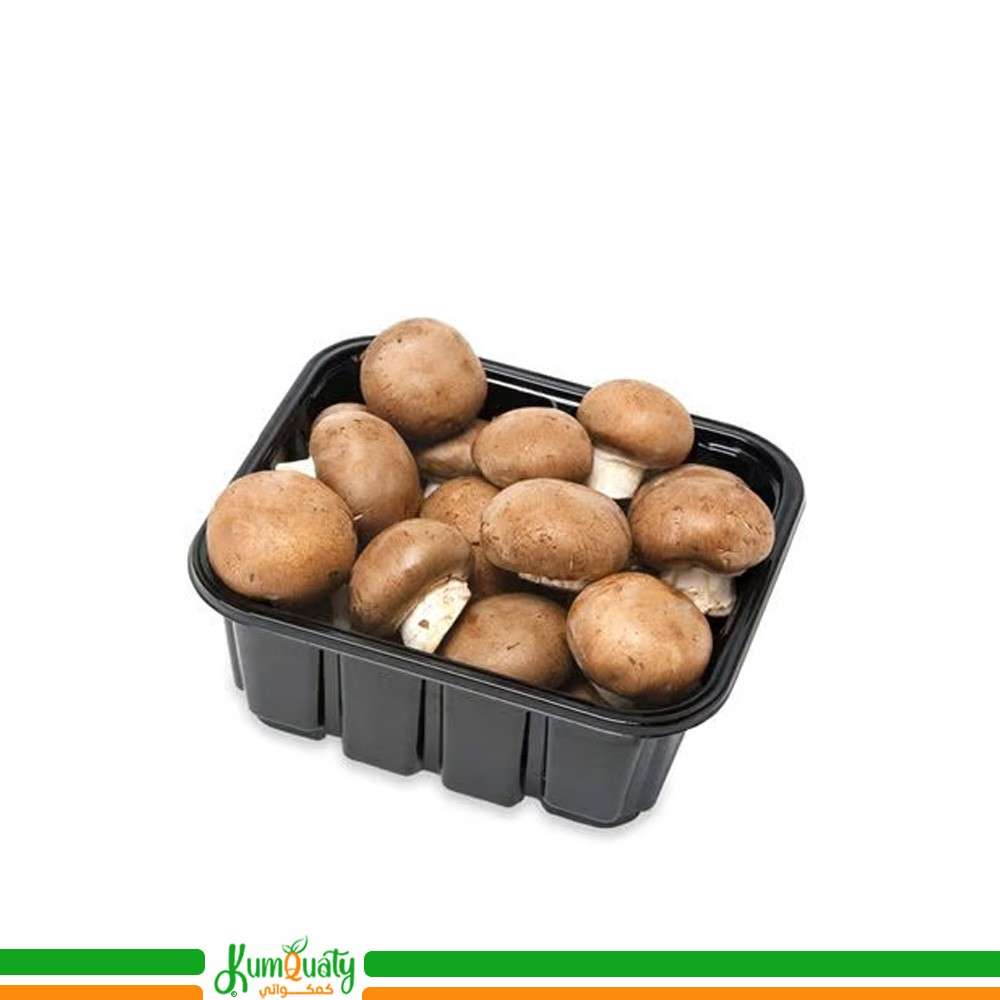 فطر بني علبة